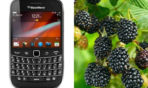 Nghệ thuật đặt tên cho các thương hiệu lớn đằng sau câu chuyện BlackBerry được đặt theo tên một loại quả dại