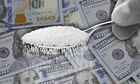 Ngành công nghiệp đường đã mua chuộc các nhà khoa học Harvard suốt hàng chục năm qua để lừa dối cả nhân loại