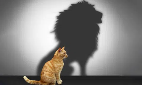 Nhân viên xuất sắc được thăng chức lên Quản lý: Hãy cẩn trọng, có thể công ty bạn vừa mất một nhân viên giỏi và có thêm một vị sếp tồi!