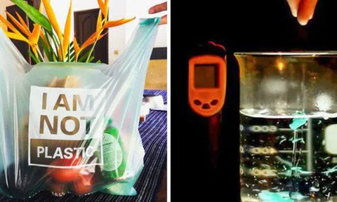 Chiếc túi này chính là thứ sẽ thay đổi toàn bộ cuộc chiến chống nhựa trên toàn thế giới: Chẳng khác gì túi nylon nhưng lại... bổ dưỡng cho sinh vật biển