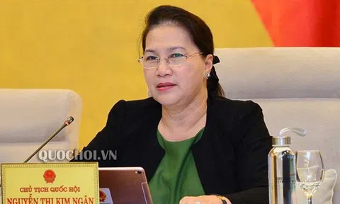 Thẩm định sân bay Long Thành: Một tạ tài liệu, Uỷ ban Kinh tế sao gánh nổi!