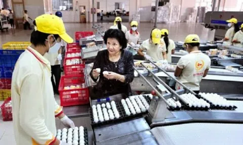 Từ bà chủ vựa trứng gà thành 'bà trùm' ngành trứng Việt Nam
