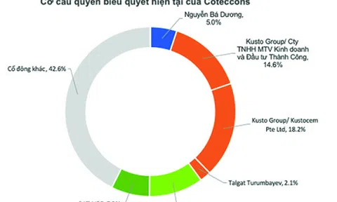 Lối thoát nào cho Coteccons?