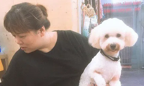 "Cắt lông chó" - nghề siêu hot lọt top 10 công việc có lương cao nhất ở Việt Nam, kiếm hơn 18 triệu đồng/tháng nhàn như chơi, liệu sự thật như thế nào?