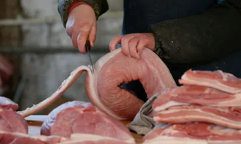 Nông dân nuôi lợn trở thành tỷ phú đôla ở Trung Quốc