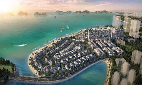 Central vừa trúng thầu 3 dự án với tổng giá trị gần 1.000 tỷ đồng