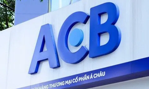 Một công ty vốn chỉ 5 tỷ đi vay nước ngoài 1.400 tỷ đồng với lãi suất "cắt cổ" 20%/năm để mua 60 triệu cổ phiếu ACB?