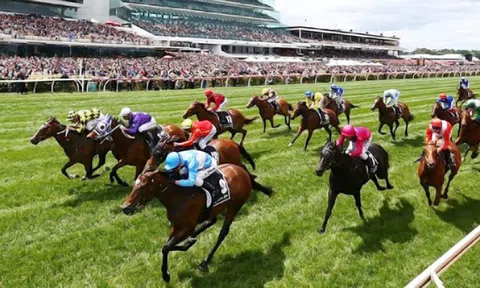 Đằng sau dự án trường đua ngựa 200 triệu USD tại Đà Nẵng của một công ty đồ chơi Trung Quốc