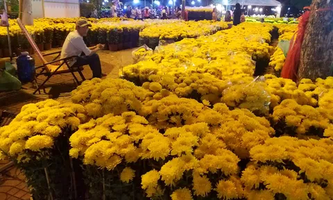 'Hoa có ế thì thà cho chứ không bán rẻ mạt'