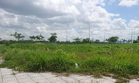 Năm 2020 có nên mua đất khi giá quá cao?