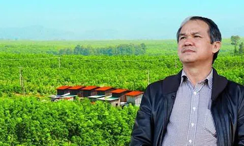 Ai gánh hộ khoản lỗ ngàn tỷ năm 2019 cho Hoàng Anh Gia Lai của bầu Đức?