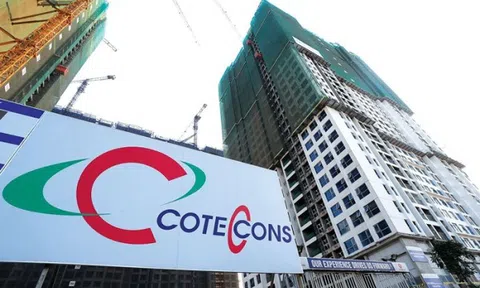 Một năm khó của Coteccons
