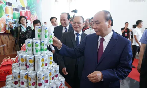 Thủ tướng tin Trà Vinh sẽ là 'thần đồng kinh tế mới' của Việt Nam