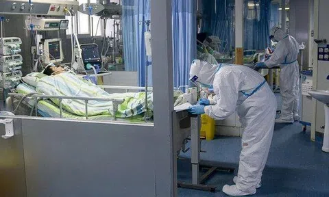 Phát hiện chấn động về virus viêm phổi Vũ Hán