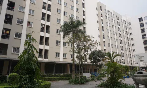 Vì sao nhà ở xã hội giá rẻ “kịch sàn” vẫn ế ẩm người mua?