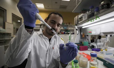 Canh bạc tỷ đô cho vaccine và thuốc Covid-19