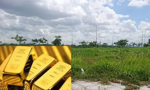 Cô gái độc thân có 1 tỷ đồng, nên đầu tư mua vàng hay mua nhà?