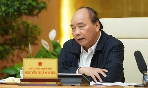 Thủ tướng: Sẽ nhập khẩu thịt lợn nếu không giảm xuống 60.000 đồng/kg