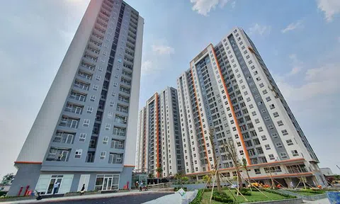 'Hạ chuẩn' căn hộ xuống 25m2, người nghèo chơi sang mỗi người một căn hộ