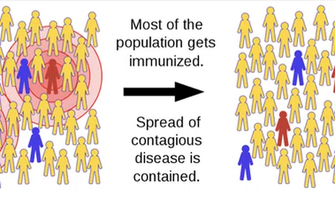 Chiến lược đạt ‘miễn dịch cộng đồng’ virus corona của Anh nghĩa là gì?