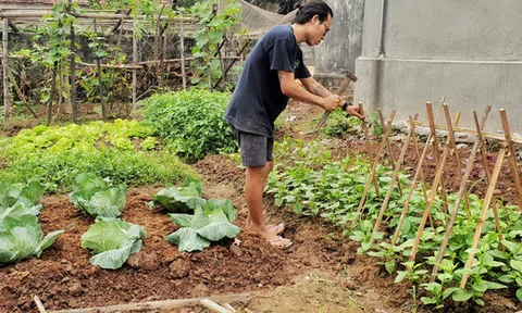Từ bỏ thu nhập 50 triệu đồng/ tháng, thợ xăm 9x về quê “ở rể” làm nông dân