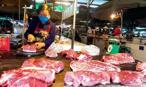Giá thịt lợn: Sắp hết cảnh “muốn rẻ lên ti vi mà mua!”