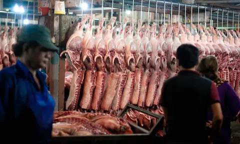 Thịt lợn từ chuồng ra chợ, dân buôn một ngày 'ăn' ngay 3,5 triệu/con