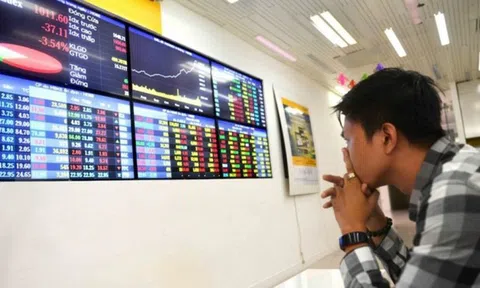 Một công ty chứng khoán lỗ 110 tỷ đồng khi bán cổ phiếu ROS