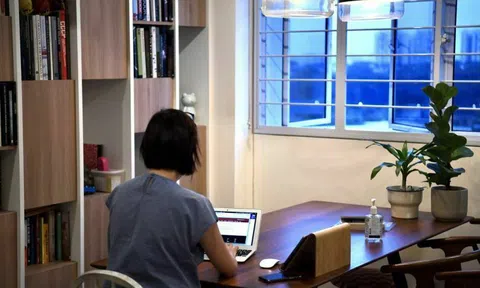 Cách kiếm tiền khi ở nhà mùa dịch