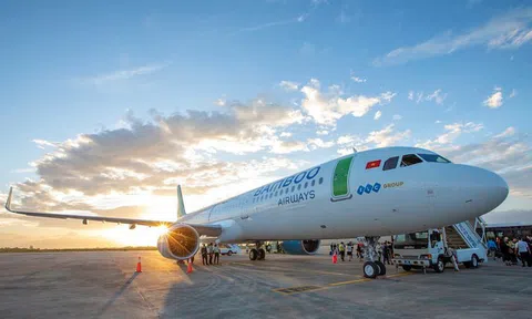 Ai sở hữu 48% cổ phần Bamboo Airways, bên cạnh 52% cổ phần đứng tên FLC?