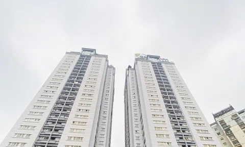 Bất ngờ với dự báo: Giá BĐS sắp tới sẽ tăng thay vì giảm do Covid-19