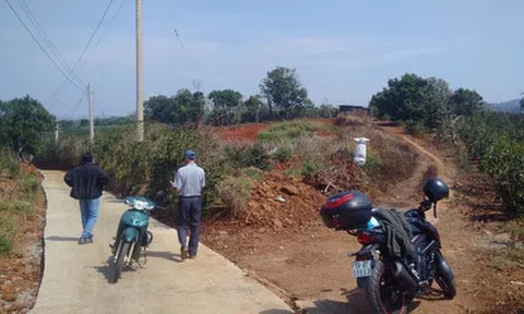 Đất nông nghiệp tăng giá