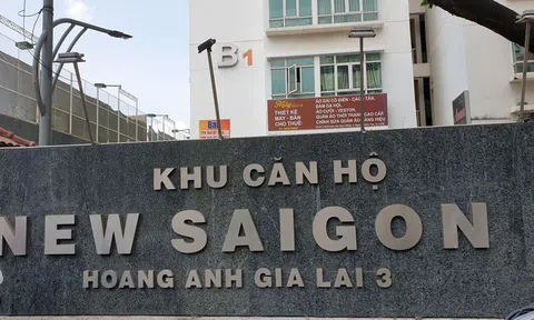 Bữa cơm của 9 cán bộ giảng viên trước khi TS Bùi Quang Tín rơi lầu