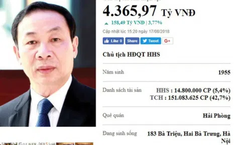 'Ông trùm’ ôm loạt dự án đất vàng Hải Phòng là ai?