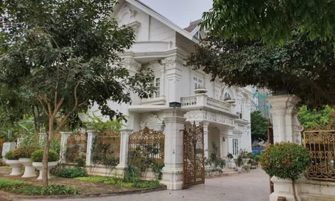 Đại gia thạch rau câu ở Hải Dương sở hữu biệt thự dát vàng sắp ra mắt lâu đài 10 triệu USD