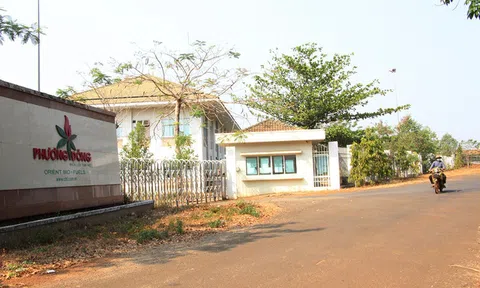 Nhà máy ethanol Bình Phước 'nằm yên' cũng lỗ cả ngàn tỉ đồng