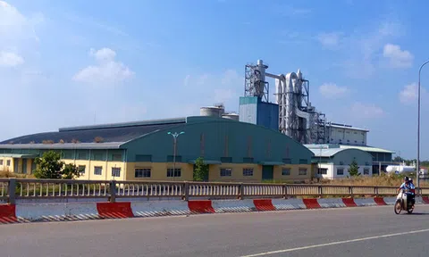 Nhà máy bột giấy ở Long An nợ đầm đìa, bán không ai mua