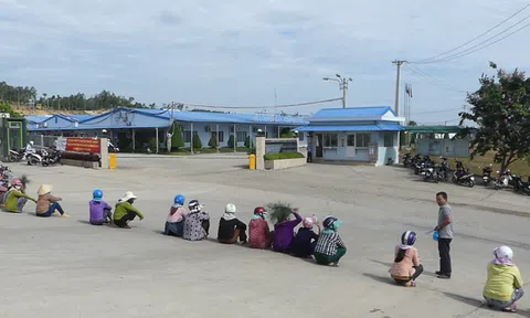 Bức xúc vì mùi khét, người dân lại chặn cổng Hòa Phát Dung Quất
