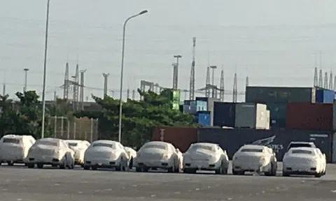 Siêu xe Ferrari, hàng chục ôtô Nissan bị 'bỏ quên' ở cảng Hải Phòng