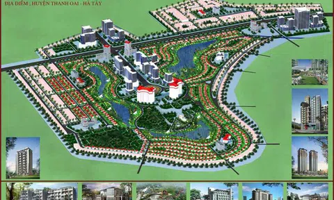 “Bóng” MIKGroup tại Cienco5