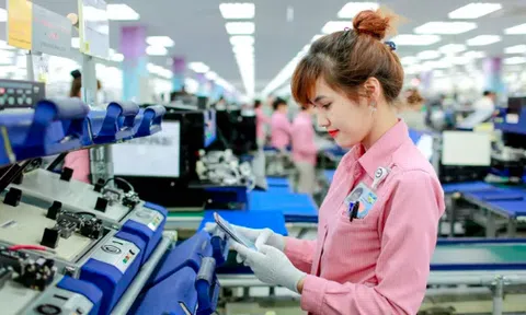 Samsung huỷ kế hoạch di dời sản xuất sang Việt Nam