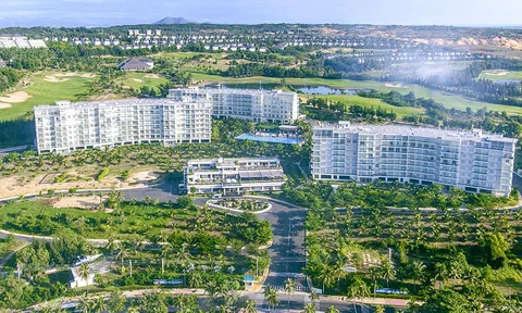 Chân dung Rạng Đông Group, từ một nhà thầu xây dựng nhỏ đến đế chế kinh doanh đa ngành nức tiếng tỉnh Bình Thuận