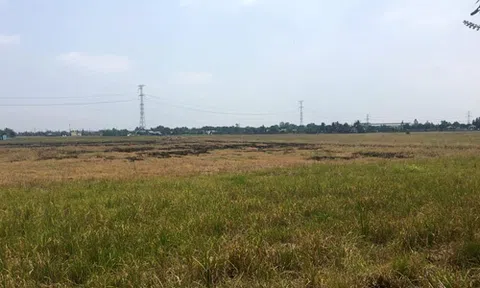 Nỗi ám ảnh sau cơn sốt đất 2007 của đại gia Sài Gòn