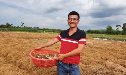 Bỏ ngang đại học vì vỡ mộng, 9X làm giàu với 2 trang trại nấm