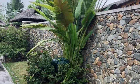 Chuyện đau lòng sau khoản tiền tỷ bán đất của bố