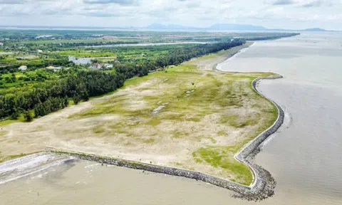 Siêu dự án lấn biển Cần Giờ có gây sốt đất?