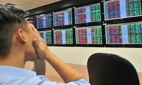 Tập tành đầu tư chứng khoán, cay đắng mất gần 200 triệu