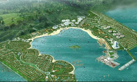 Dự án lấn biển Cần Giờ được chuyển nhượng thế nào?