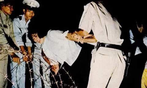 Hội Tam Hoàng và vụ xử bắn Tạ Vinh: Nhiệm vụ bất khả thi