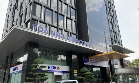 Nỗi lo quản trị Vinaconex nhìn từ một thương vụ kín tiếng